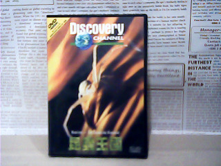DVD-昆蟲王國