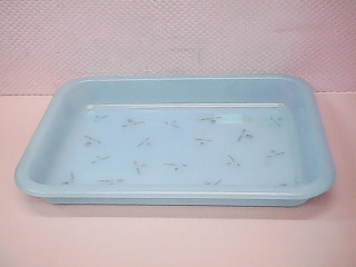 盤