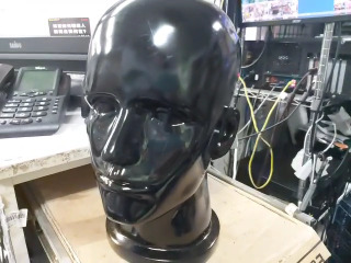 模