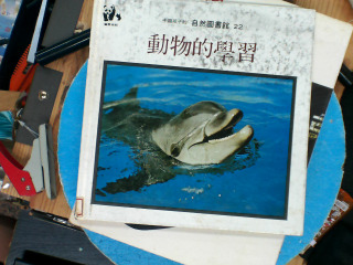 動物的學習