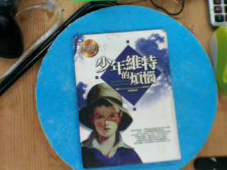 少年維特的煩惱