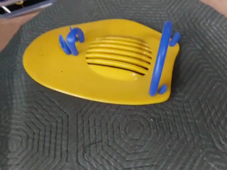 掌蹼