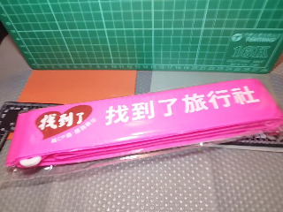 旅行箱束帶