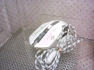 滑鼠