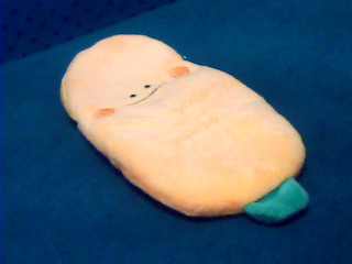 袋