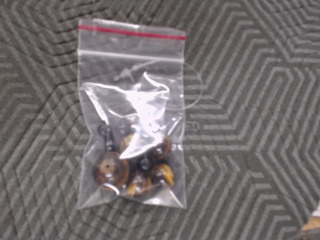 珠珠