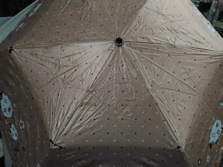 傘