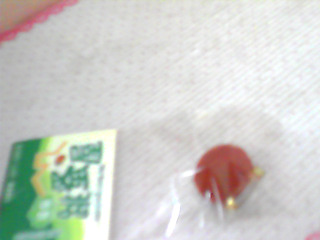胸針