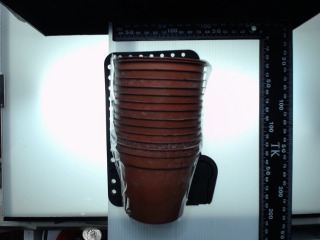 花卉托盤種植花盆