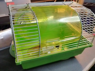 寵物飼養籠