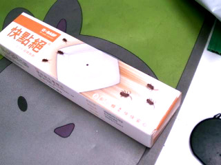螞蟻藥