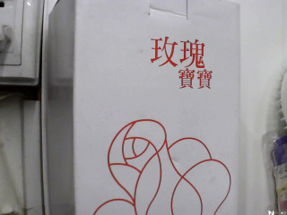 玫瑰寶寶2017