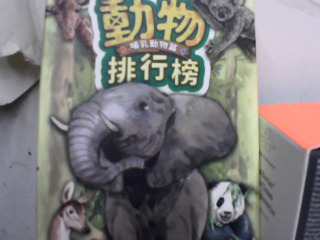 桌遊