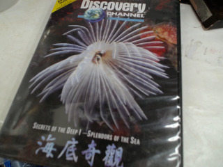 DVD