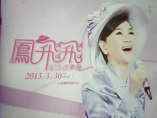 鳳飛飛-紀念音樂會現場演出場刊