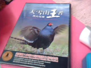 全新DVD