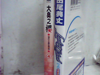 小說