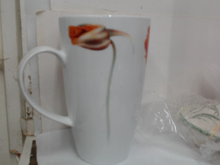 杯
