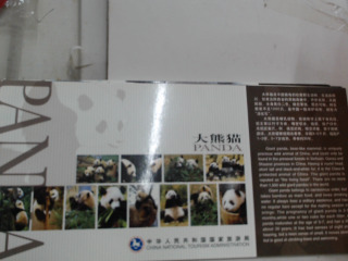大熊貓明信片