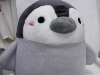 娃