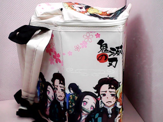 背袋