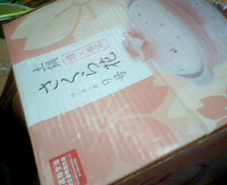 日本全新大土鍋