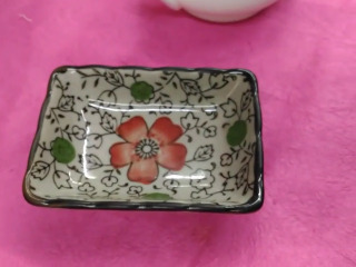 碟