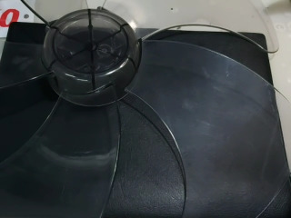 葉片