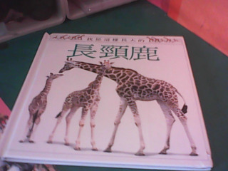 童書