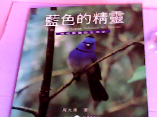 書-藍色的精靈