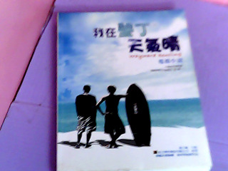 書-我在墾丁天氣晴