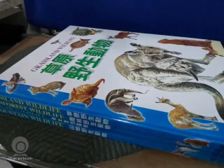 書