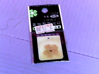 墬子