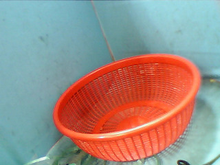 盆