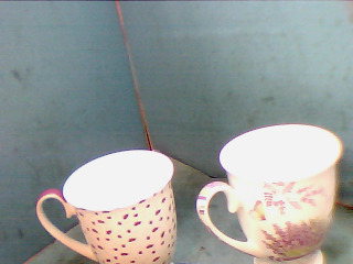 杯