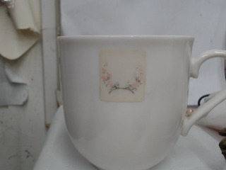 杯