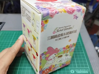 聯名盲盒美樂蒂盆栽