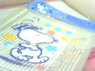 書套