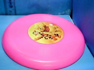飛盤