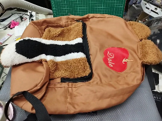 後背包