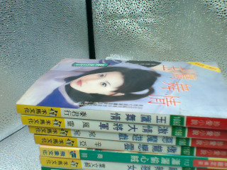 小說單售