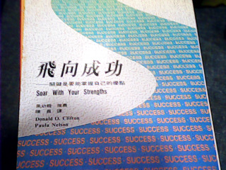 書 飛向成功