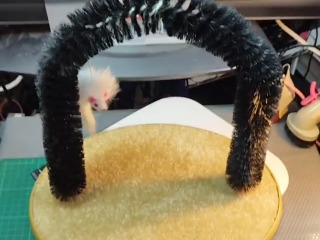 貓咪拱門蹭毛器