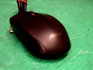 滑鼠