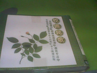 CD3片入
