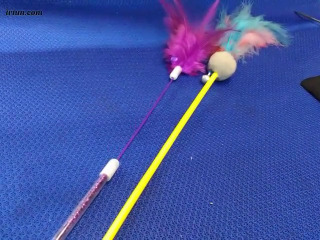 逗貓棒