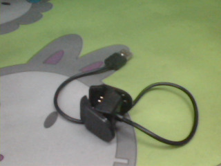 手錶充電器