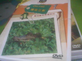 DVD
