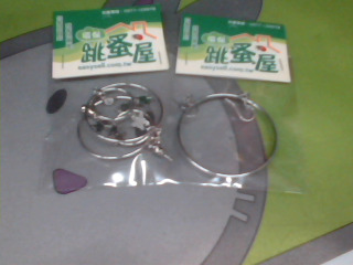 耳環
