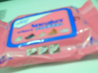 鞋子清潔濕紙巾